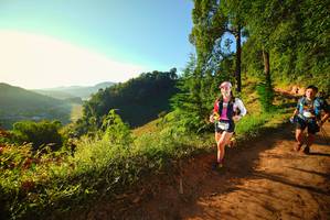 BIB: 
                            <button type="button" onclick="openModal(19170195)" class="btn btn-primary btn-sm float-right btn-popup" data-toggle="modal" data-target=".modal-high-quality">
                        <i class="fas fa-shopping-cart"></i> Add to Cart
                    </button>
                                            <button type="button" onclick="isThisMe(19170195, true)" class="btn btn-success btn-sm float-right btn-popup btn-isme hidden" data-toggle="tooltip" data-placement="bottom" title="นี่คือรูปของคุณใช่ไหม คลิกที่นี่เพื่อเอาเข้าอัลบั้ม">
                        <i class="fas fa-plus"></i> Add to album
                    </button>
                    <button type="button" onclick="isThisMe(19170195, false)" class="btn btn-warning btn-sm float-right btn-popup btn-isnotme hidden">
                        <i class="fas fa-ban"></i> Remove from album
                    </button>